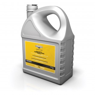 Tepalas 15W50 Briggs & Stratton